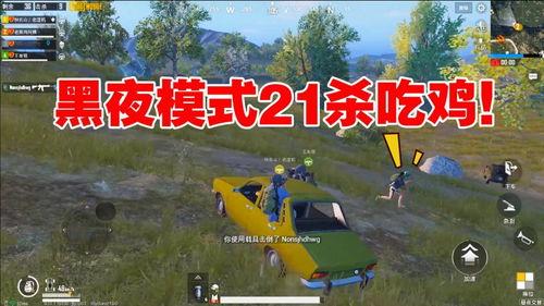 吃鸡新瓜视频,精彩瞬间与幕后故事大曝光