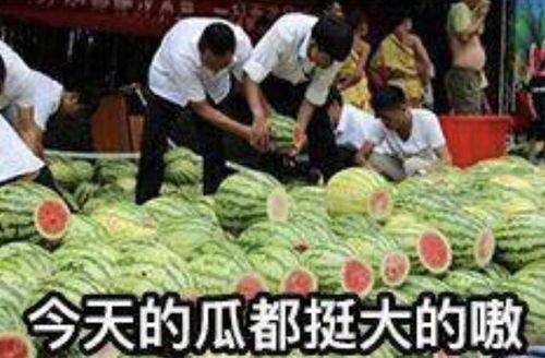 莆田花店吃瓜事件视频,一场引发热议的街头冲突